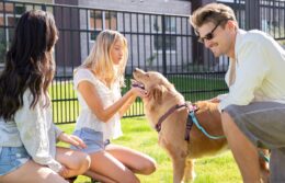 People in the dog park with a golden retriever