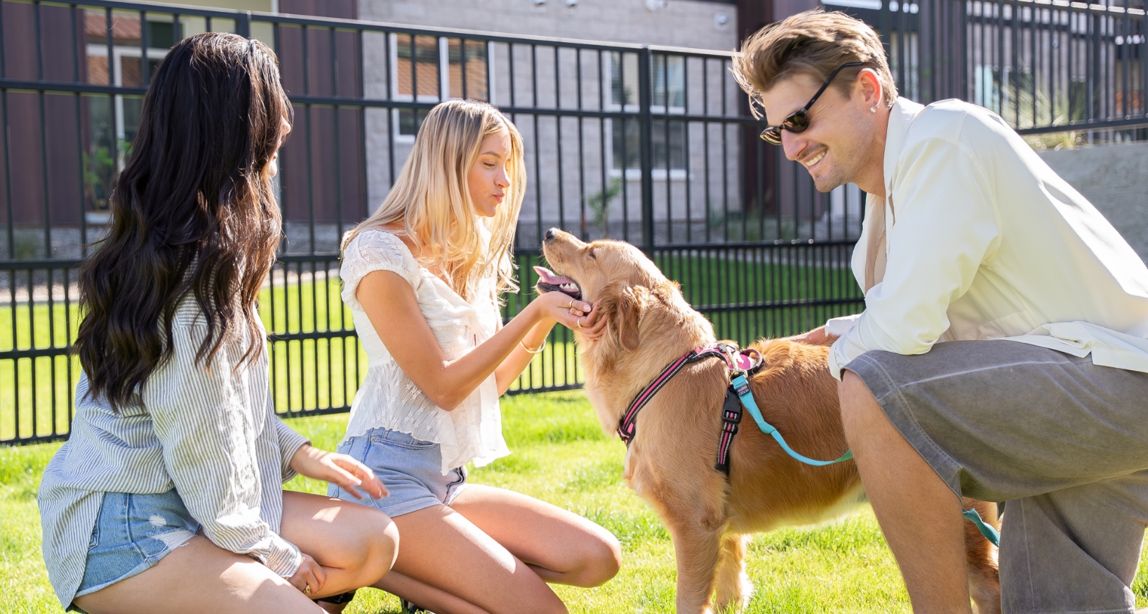 People in the dog park with a golden retriever
